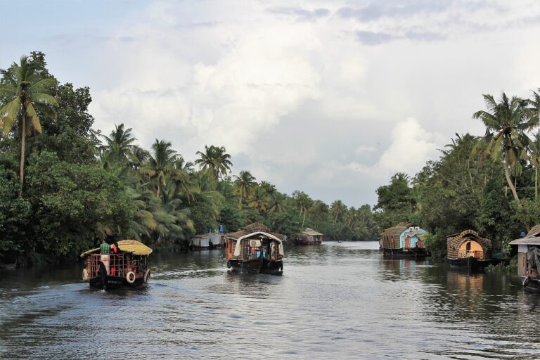 houseboats, backwaters, kerala-3794866.jpg